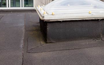 disadvantages of Woodville Feus flat roofs