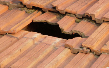 roof repair Woodville Feus, Angus