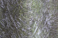 Woodville Feus fibreglass roof work