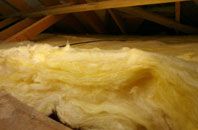 Woodville Feus pitch roof insulation